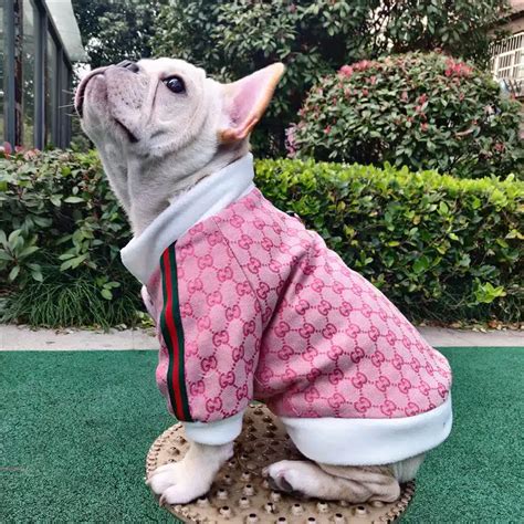 gucci puppy jacket|Gucci raincoat for dogs.